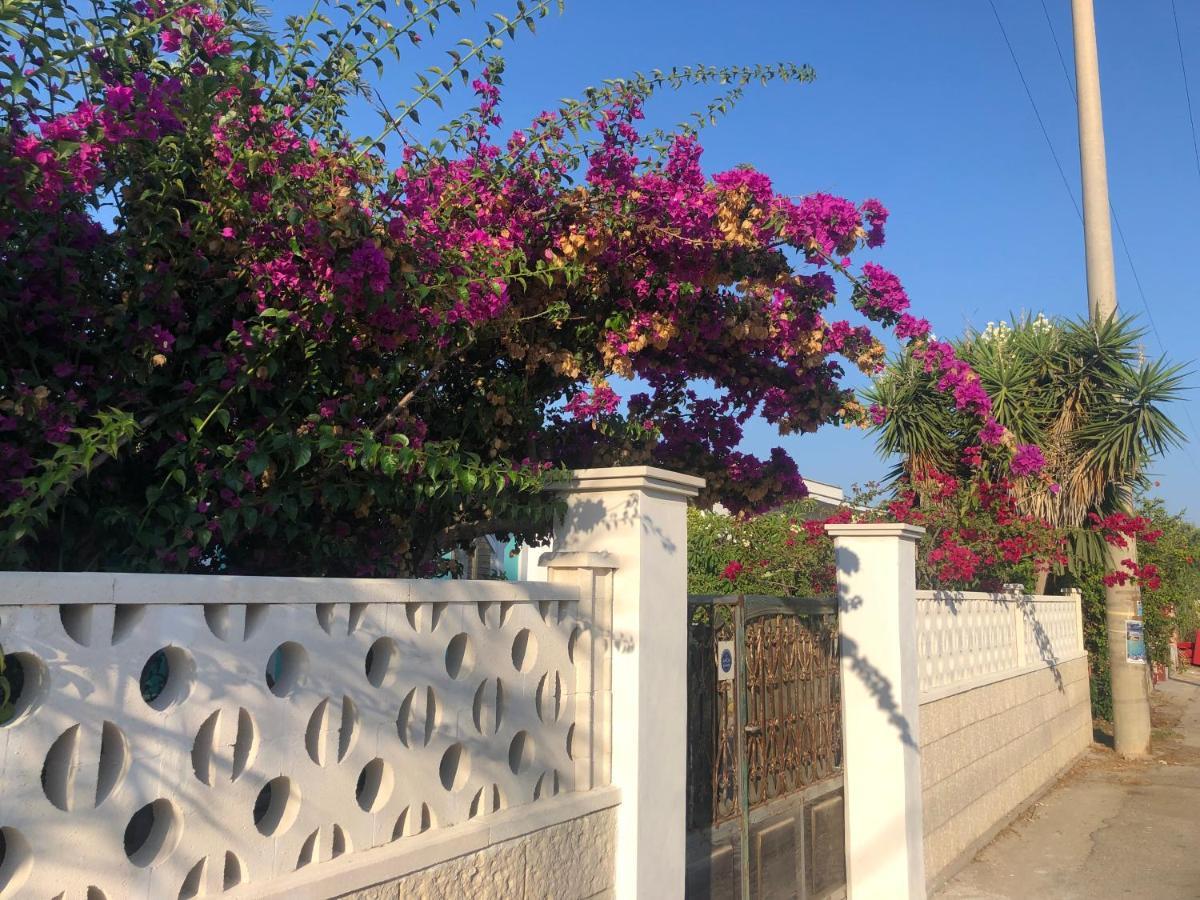Amaris Mango Seafront Villa Granelli Eksteriør bilde